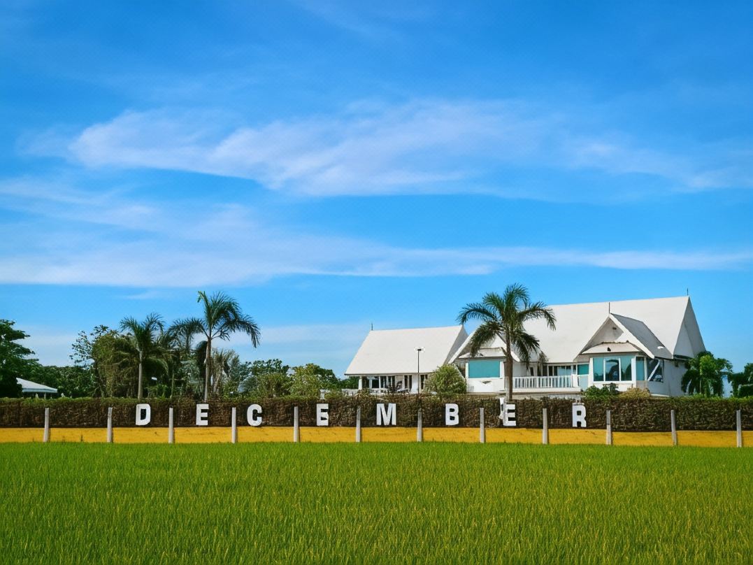December To Remember House