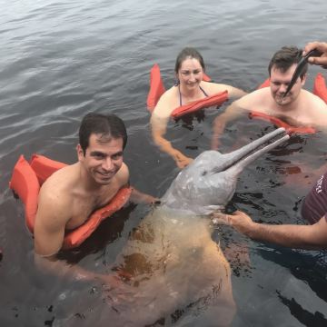 巴西 马瑙斯出发 亚马逊丛林徒步一日游 12人小团/粉海豚 巴西 马瑙斯出发 亚马逊丛林徒步一日游 12人小团/粉海豚