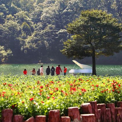 私家团上门接送从化石门公园天池花海+南平小镇避暑溯溪摘果一天 私家团上门接送从化石门公园天池花海+南平小镇避暑溯溪摘果一天