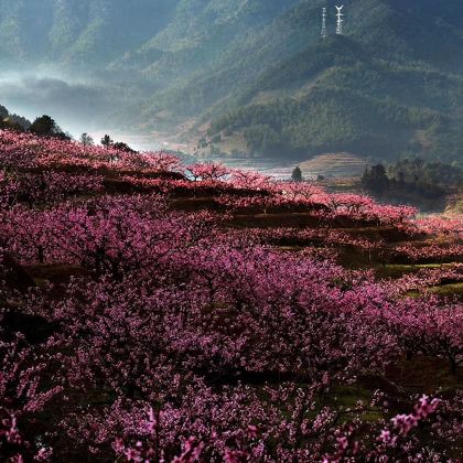 宁波溪口景区一日游【蒋氏故居半日游】 宁波溪口景区一日游【蒋氏故居半日游】