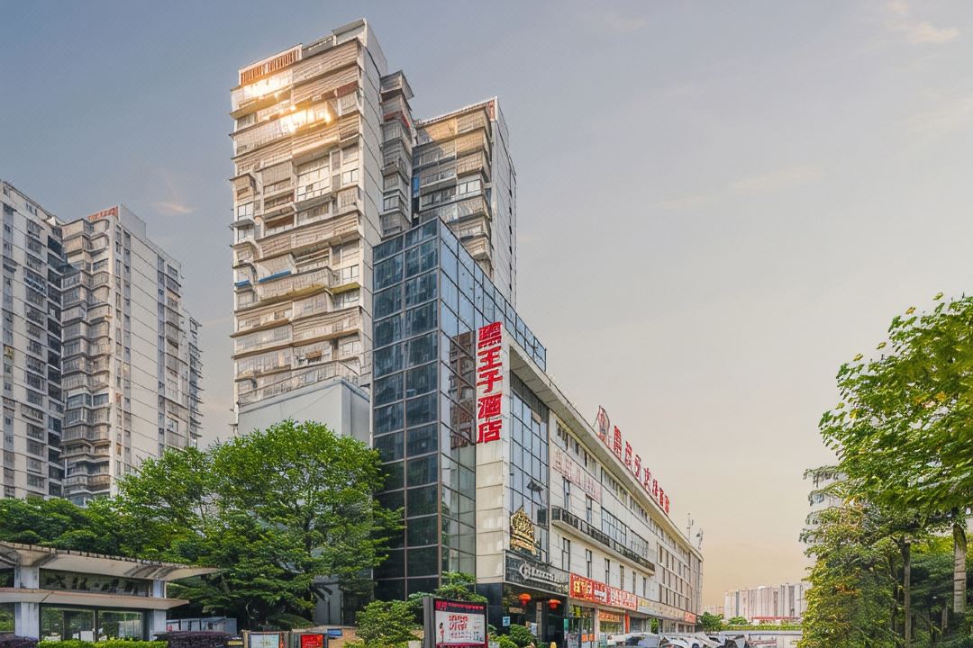 Black Prince Art Hotel (Luzhou Longmatan District Government Store)