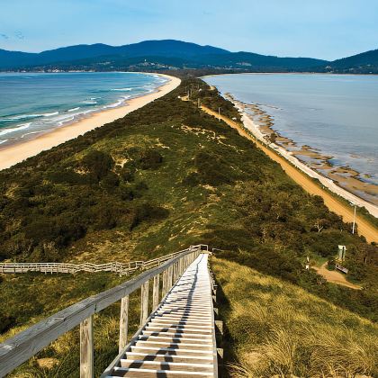 塔斯马尼亚布鲁尼岛【南北一线 生蚝农场 蜂蜜农庄 白袋鼠】 塔斯马尼亚布鲁尼岛【南北一线 生蚝农场 蜂蜜农庄 白袋鼠】