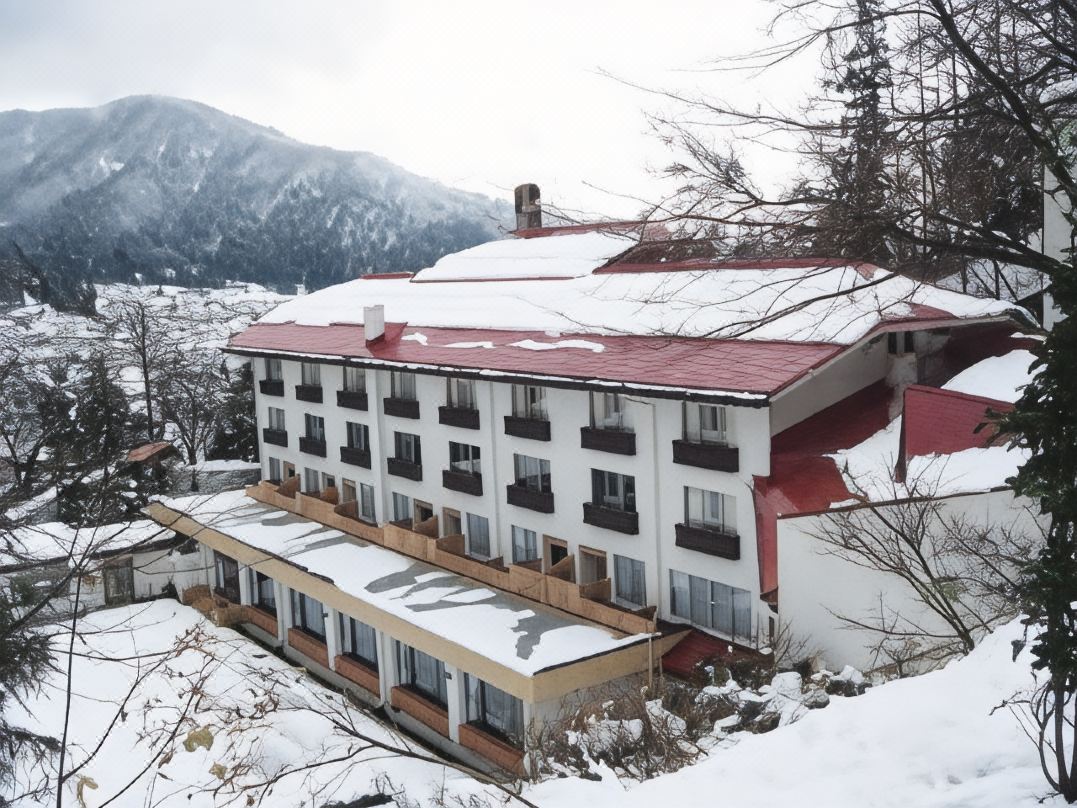 野澤溫泉大飯店