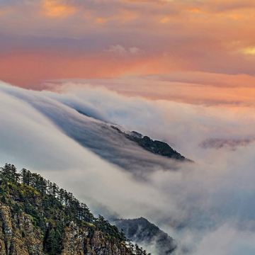 神农顶风景区一日游【天生桥神农坛 独立成团上门接送可升级】 神农顶风景区一日游【天生桥神农坛 独立成团上门接送可升级】