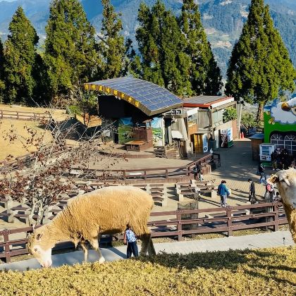 清境农场+日月潭一日游 清境农场+日月潭一日游