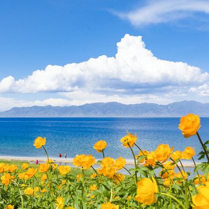 新疆博乐+赛里木湖一日游【看日出+赠送无人机航拍+上门接送】 新疆博乐+赛里木湖一日游【看日出+赠送无人机航拍+上门接送】