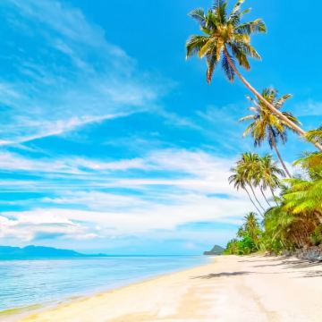 泰国沙美岛一日游【中文导游|海上项目|可接芭堤雅&沙美岛】 泰国沙美岛一日游【中文导游|海上项目|可接芭堤雅&沙美岛】