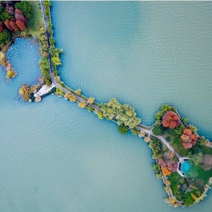 【老友会-私家一日游】空轨+武汉大学+东湖绿道+东湖磨山 【老友会-私家一日游】空轨+武汉大学+东湖绿道+东湖磨山