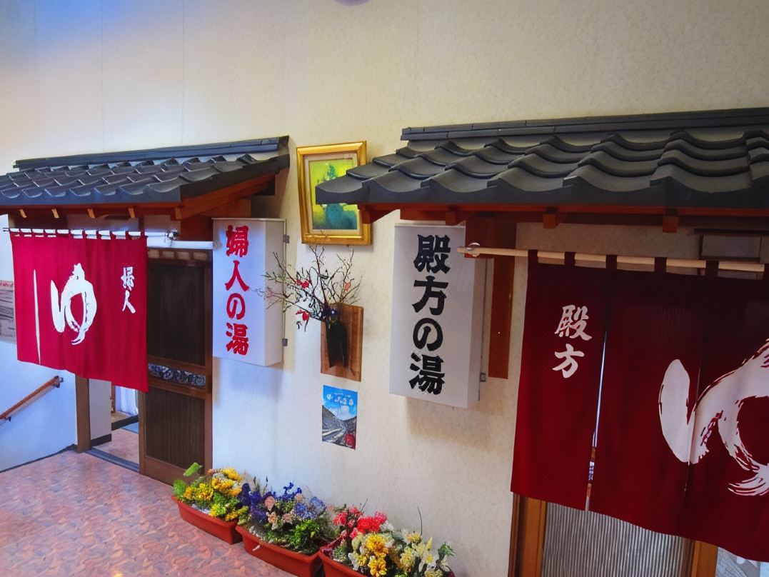 나카노사와 온센 히라사와야 료칸