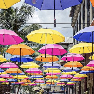 毛里求斯+路易港+庞普勒穆斯植物园+红顶教堂一日游 毛里求斯+路易港+庞普勒穆斯植物园+红顶教堂一日游