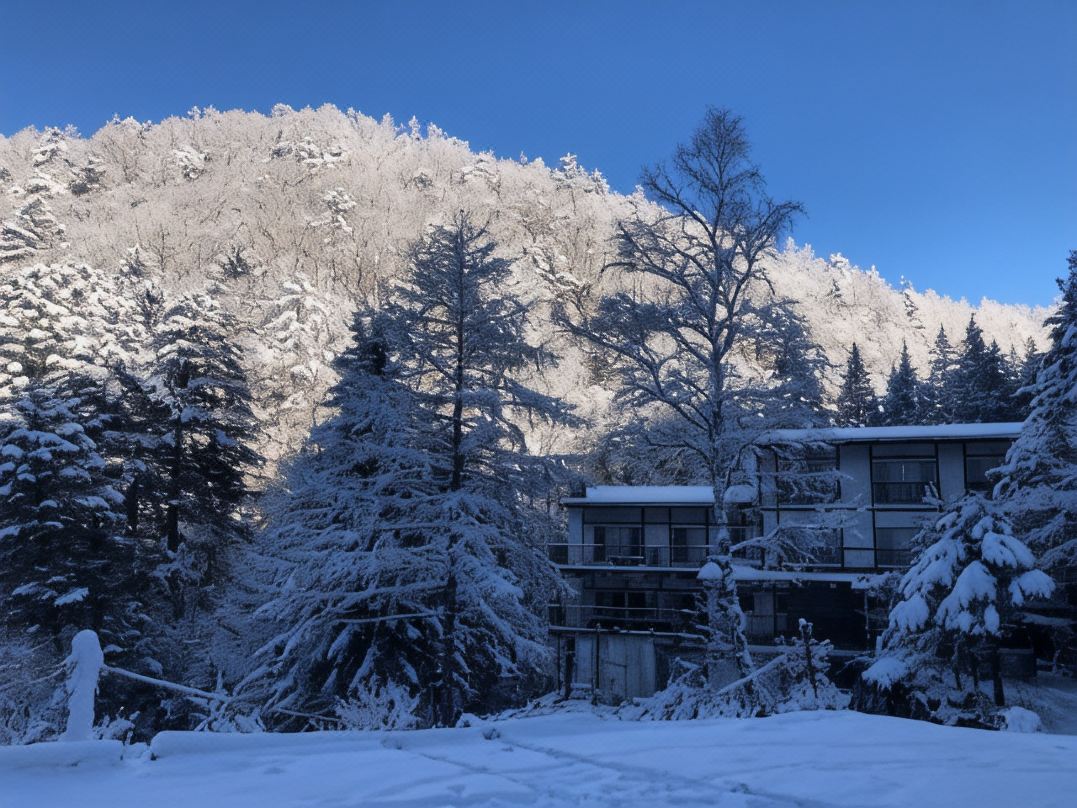 Yama No Yado Meiji Onsen