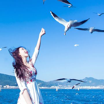 石林风景区+滇池一日游【资深金牌导游丨滇池观红嘴鸥丨赠中餐】 石林风景区+滇池一日游【资深金牌导游丨滇池观红嘴鸥丨赠中餐】