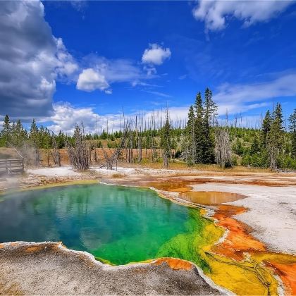 美国黄石国家公园一日游/行程可调-可定制多日游 美国黄石国家公园一日游/行程可调-可定制多日游