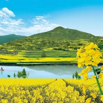 赏花直通车-汉中起止【皇塘水乡油菜花+湿地公园+汉人老家街】 赏花直通车-汉中起止【皇塘水乡油菜花+湿地公园+汉人老家街】