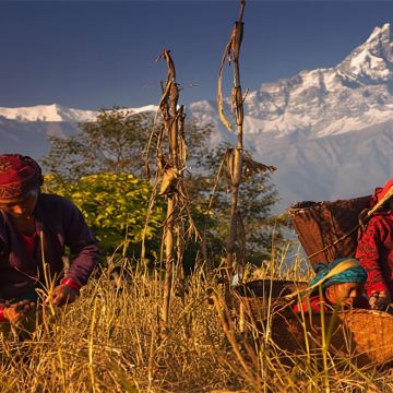 安纳普尔纳山麓一日徒步 安纳普尔纳山麓一日徒步