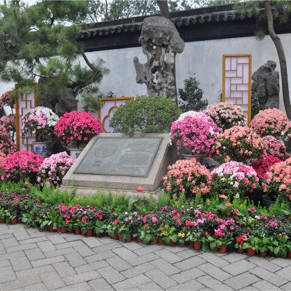 【经典纯玩团】苏州拙政园+寒山寺+游船+周庄一日游 【经典纯玩团】苏州拙政园+寒山寺+游船+周庄一日游