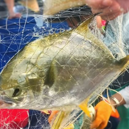 海南儋州海花岛旅游度假区一日游【渔村赶海2小时】 海南儋州海花岛旅游度假区一日游【渔村赶海2小时】