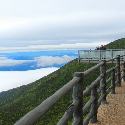武汉-英山一日游:南武当+桃花冲 武汉往返|道教文化G 武汉-英山一日游:南武当+桃花冲 武汉往返|道教文化G