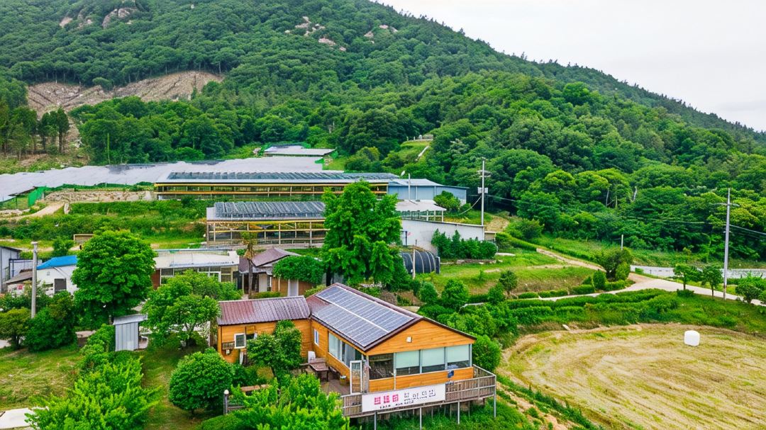 Gangjin Hyeonwoo Farm Farm Experience B&B