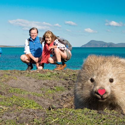 塔斯马尼亚霍巴特玛丽亚岛一日游【中文|萌物袋熊|纯净之美】 塔斯马尼亚霍巴特玛丽亚岛一日游【中文|萌物袋熊|纯净之美】