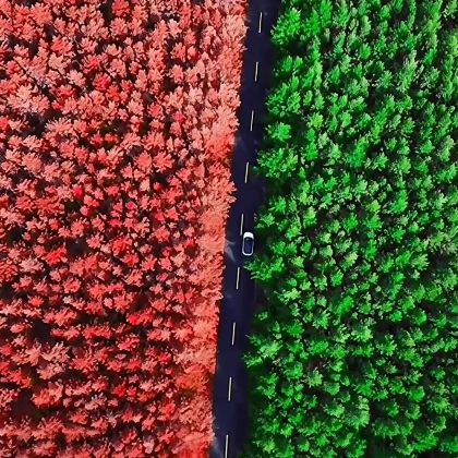 呼和浩特哈达门森林公园一日游丨纯玩丨可选2-8人精品小团 呼和浩特哈达门森林公园一日游丨纯玩丨可选2-8人精品小团