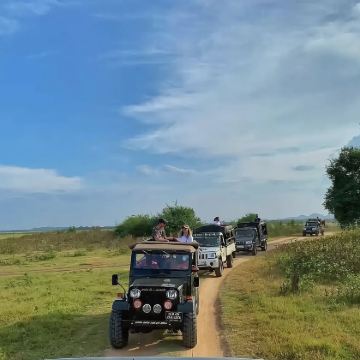 斯里兰卡-乌达瓦勒韦国家公园一日游 私人VIP包车(越野车) 斯里兰卡-乌达瓦勒韦国家公园一日游 私人VIP包车(越野车)