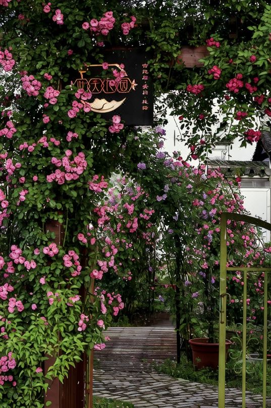 Huangshan Yefu Garden Homestay (Huangshan North Gate Branch)