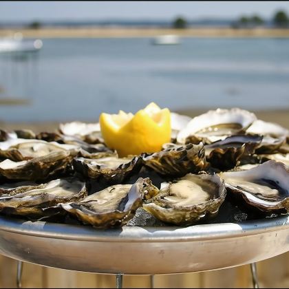 波尔多出发:【踏浪、品蚝、追沙丘】阿卡雄湾的一日浪漫逃逸 波尔多出发:【踏浪、品蚝、追沙丘】阿卡雄湾的一日浪漫逃逸