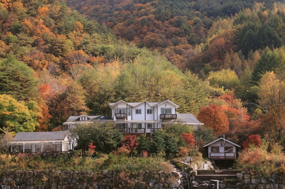 Starvill Pension
