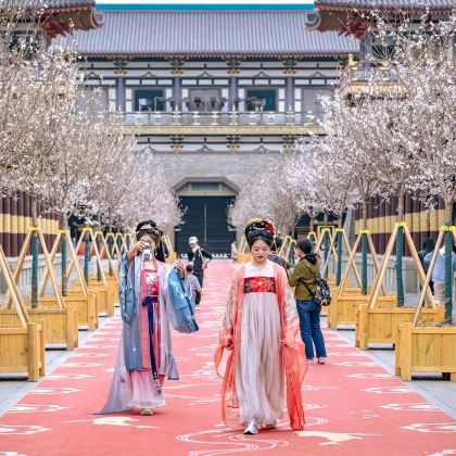 中国唐城+古城护城河+古隆中一日游【包车丨上门接丨深度体验】 中国唐城+古城护城河+古隆中一日游【包车丨上门接丨深度体验】