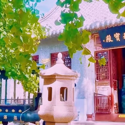 青岛羊毛沟花海湿地+法海寺一日游 青岛羊毛沟花海湿地+法海寺一日游