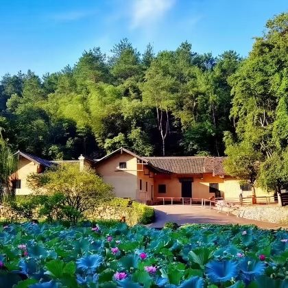 韶山+韶山旅游区一日活动 韶山+韶山旅游区一日活动