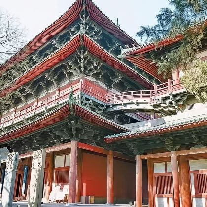 隆兴寺半日游【深度趣讲】 隆兴寺拼团1.5H深度精讲无线耳麦 隆兴寺半日游【深度趣讲】 隆兴寺拼团1.5H深度精讲无线耳麦