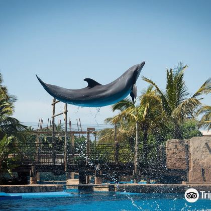 南非德班印度广场+德班乌沙卡水底世界水族馆一日游 南非德班印度广场+德班乌沙卡水底世界水族馆一日游