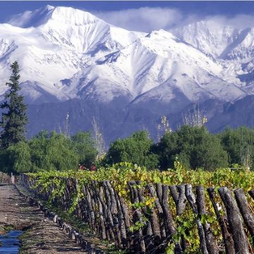 智利圣地亚哥迈坡谷酒庄参观一日游【中文包车/行程定制】 智利圣地亚哥迈坡谷酒庄参观一日游【中文包车/行程定制】