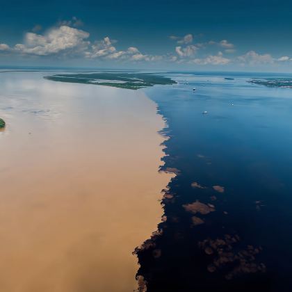 巴西 马瑙斯出发 亚马逊河一日游 1人起订/粉河豚/含午餐 巴西 马瑙斯出发 亚马逊河一日游 1人起订/粉河豚/含午餐