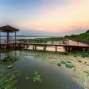 苏州阳澄湖+阳澄湖莲花岛+甪直古镇包车游【上海出发赏秋品蟹】 苏州阳澄湖+阳澄湖莲花岛+甪直古镇包车游【上海出发赏秋品蟹】