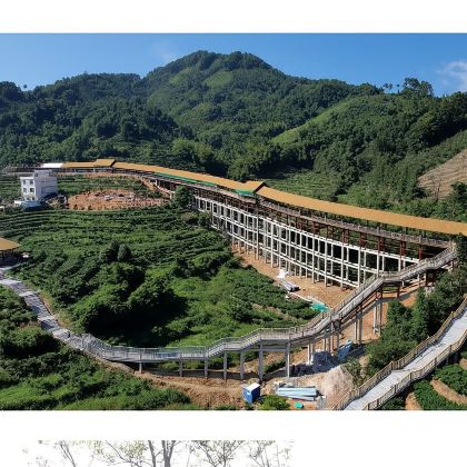梧州六堡茶源博园与六堡小镇/景点定制/中英导游/包车@ 梧州六堡茶源博园与六堡小镇/景点定制/中英导游/包车@