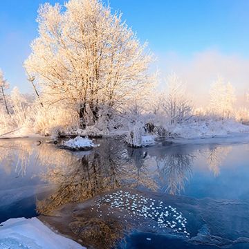 库尔滨雾凇+火山岩地质公园一日游【包车游私家团|本地人向导】 库尔滨雾凇+火山岩地质公园一日游【包车游私家团|本地人向导】