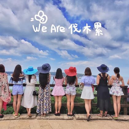 北海涠洲岛一日游【含门票+往返船票※上岛费※岛上用车天天发】 北海涠洲岛一日游【含门票+往返船票※上岛费※岛上用车天天发】