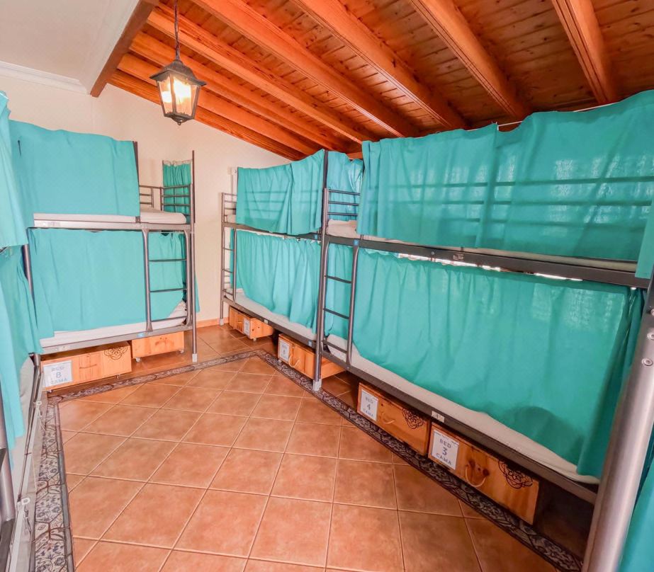 Arena Nest Hostel