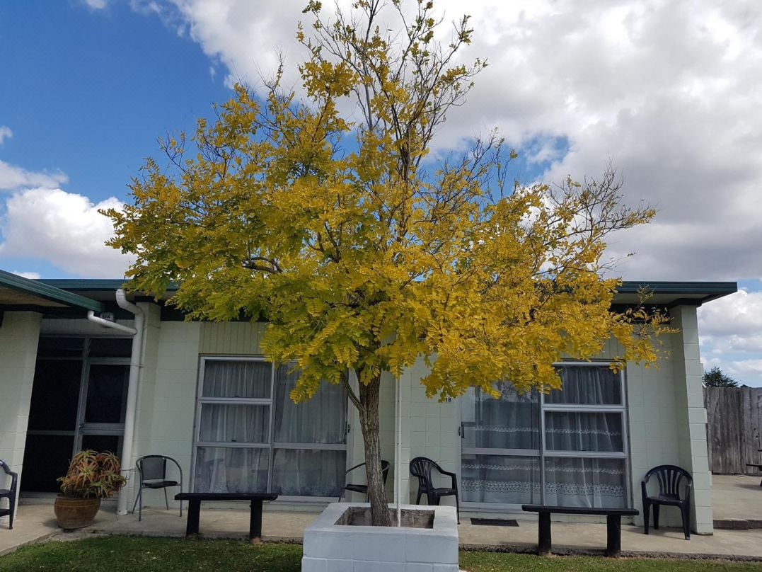 Parkview Motel