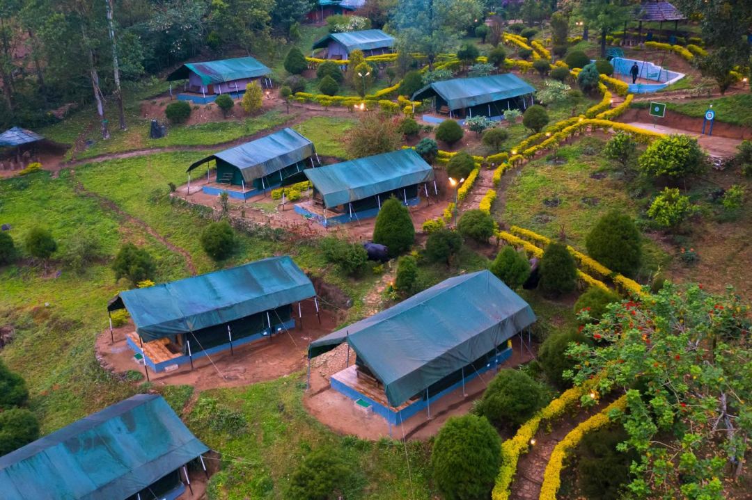 Nature Zone Munnar - A Real Jungle Resort - Authentic Tree House and Premium Tents