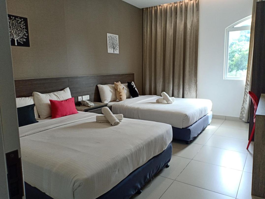 Hotel Alpha
