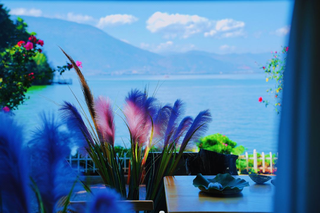 Sea View Inn