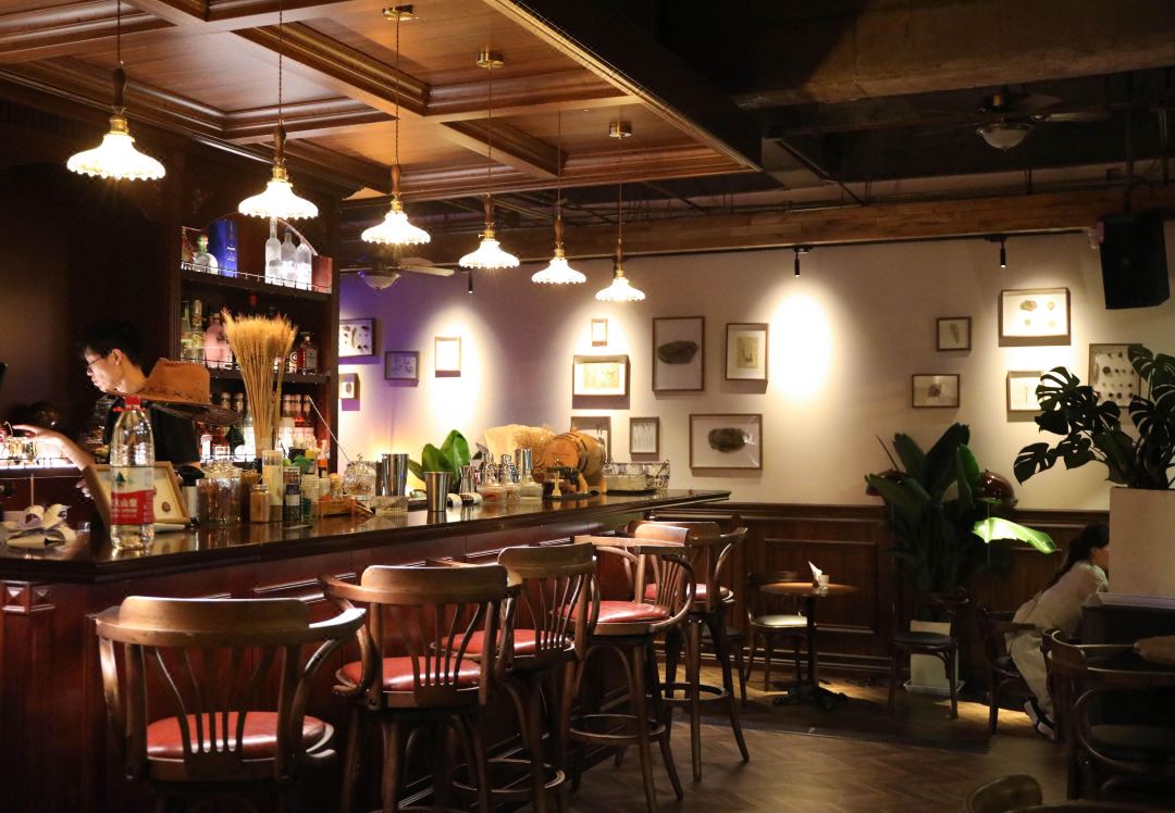 Sonderia Hostel&Bar-lazybones