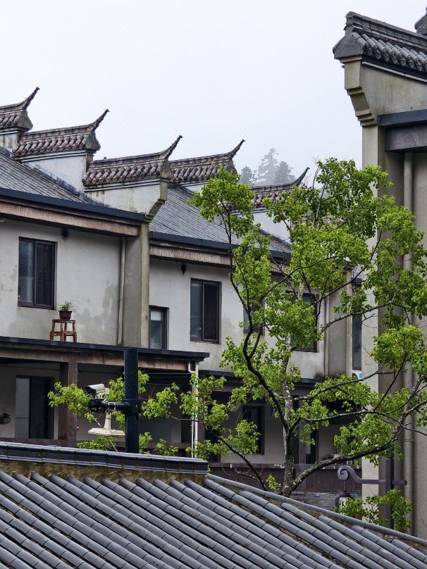 Yunju Mountain Scenic Area Yunju Caotang Homestay