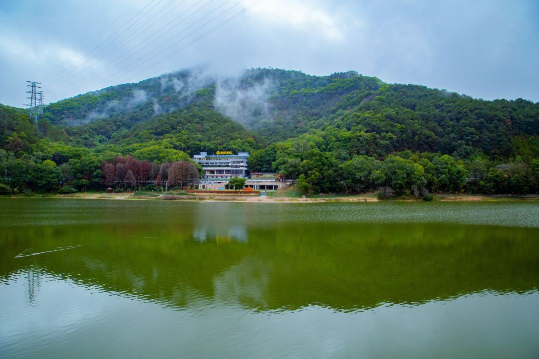 Lakeside Hotel