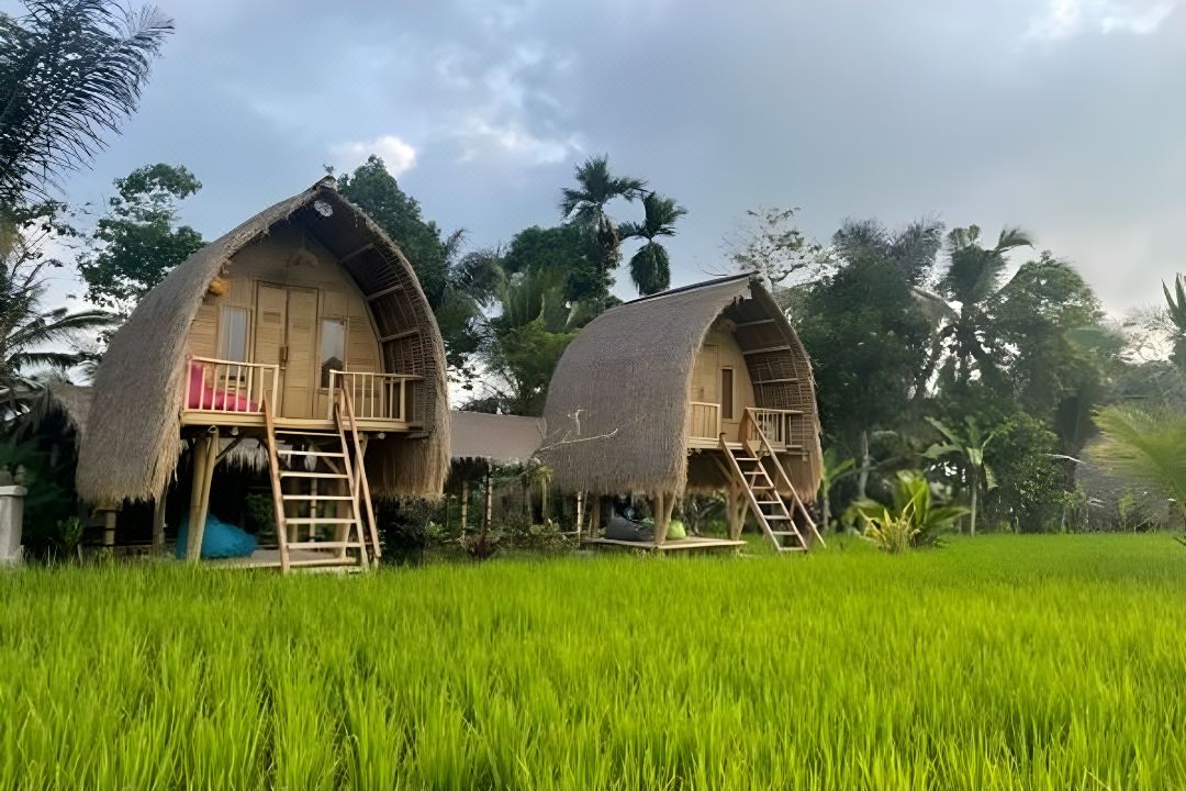 Tiny ECO Bamboo Ubud