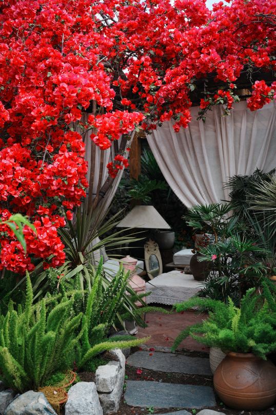 Shanxia Buzhi Hidden Luxury Hotel